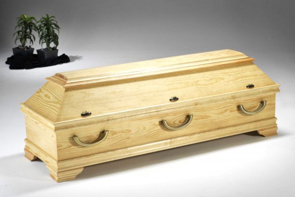  Kiefer 440 "Dessau" Natur 6x GB 4000 flämisch / 2 Stück