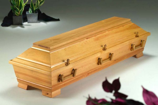  Kiefer 405 "Uelzen" honig, 6x HB 321 mittel