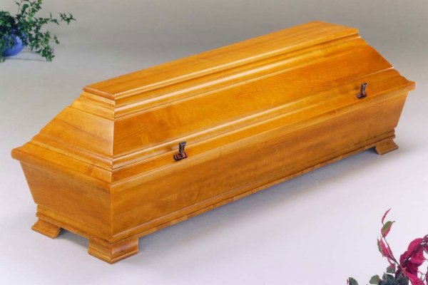  Pappel 010 "Lingen" mittel 4 Schrauben