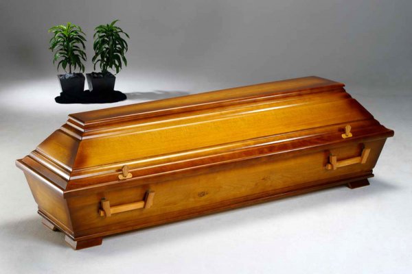  Pappel 010 "Lingen" mittel 4x HB 321 mittel