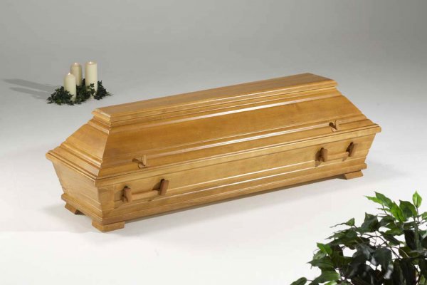  Pappel 100 "Nordhorn" mittel 6x HB321 mittel