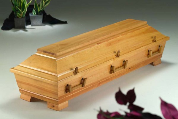  Kiefer 405 "Uelzen" honigfarben, 6x Holzgriffe