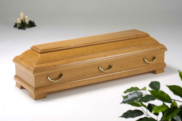  Kiefer 425 "Dresden" honigfarben, 6x GB 802 flämisch