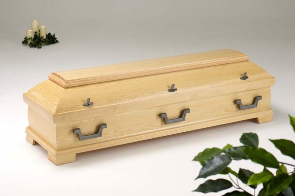  Kiefer 445 "Koblenz" natur, 6x Tw 5009 zinnfarben