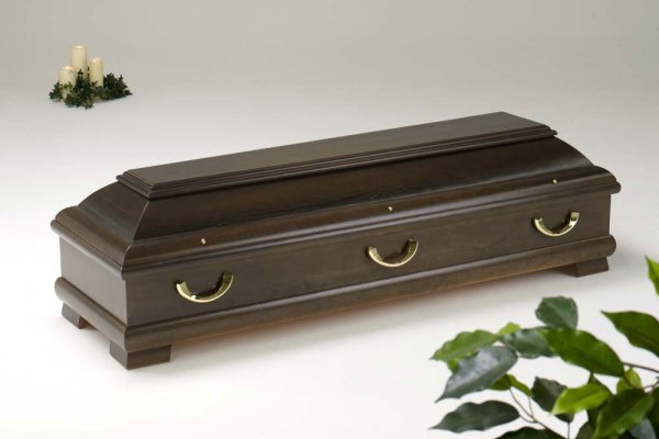  Kiefer 425 "Dresden" nussbaum, 6x GB 802 flämisch